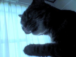 こっえぇ～～