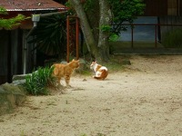 恐怖体験のあと・・・・