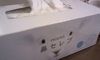 お世話になります。