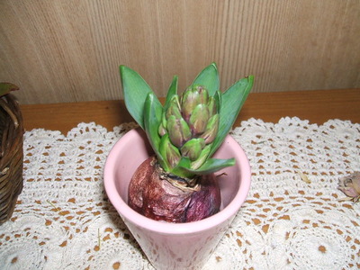 かわいくて、つい・・・