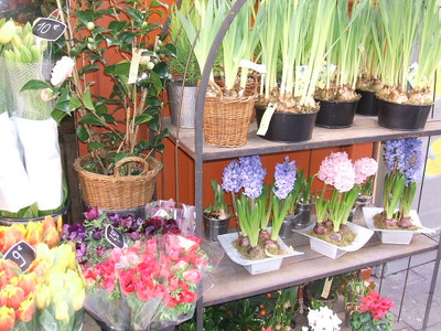 かわいいお花屋さん