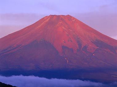 ゴミの山。