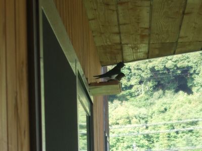 ふりまわされる・・・女心？