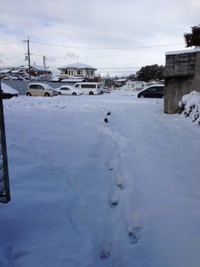 しんせつなともだち