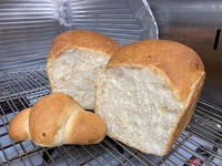 9月の1週目は、『いちじくのパン』です！