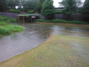 調整池の機能