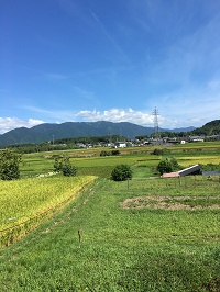 びわ湖・大津ＮＷクラブよりお知らせ