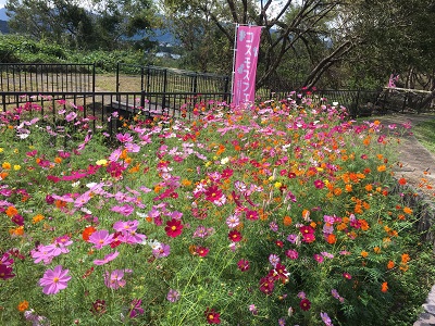 春日山例会（10月20日）のお知らせ