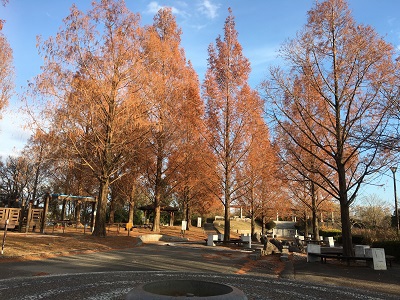 春日山例会（12月19日）