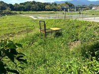 春日山例会（５月1８日）