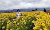 菜の花イベントに参加