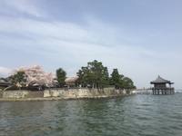 琵琶湖ドラゴンボートクラブ公式サイト