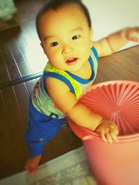 目が離せない…