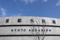 水族館めぐり？！