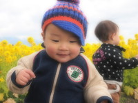 菜の花畑