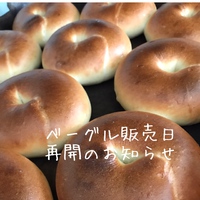 ベーグル販売日再開のお知らせ