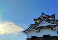 桜が咲いていなくても【想い出アミーゴインサイドストーリー㉚】 2021/01/30 16:15:42
