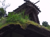 元祖　草屋根