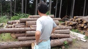 間伐材で家を建てる