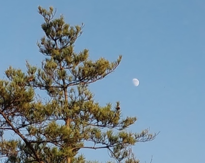 空とお月さま