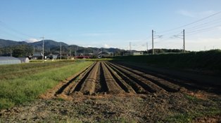 残暑でざんしょ？