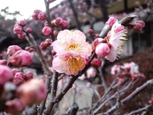 うれしかったこと