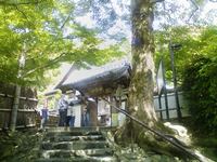 鈴虫寺と炭の日