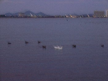 たそがれの、びわ湖
