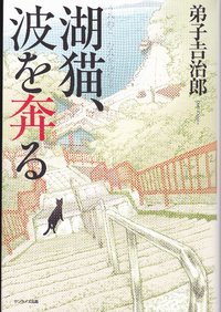 またまた竹生島