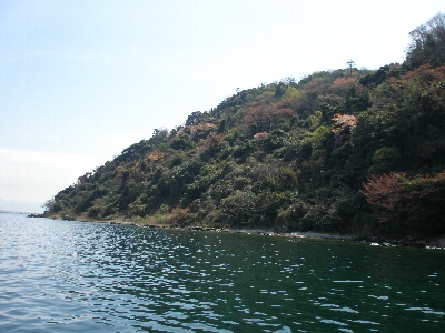沖島の春・北側の湖岸