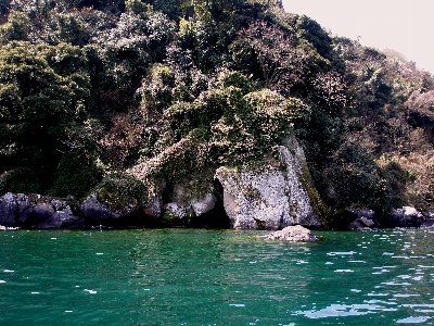 沖島の春・北側の湖岸