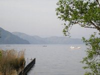 高島のホタル