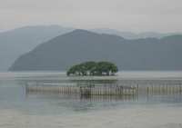 琵琶湖に未知の島　発見か？
