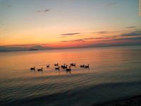 近年の琵琶湖をめぐる環境課題　vol.6