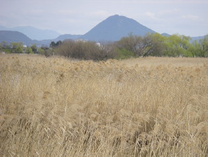 琵琶湖逍遙　堅田～守山なぎさ公園～烏丸半島