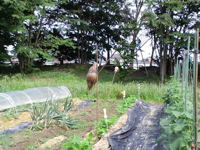 飛び出し坊やコレクション　番外恐怖編