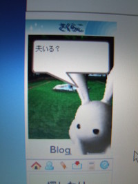 さくらこ・・・？？