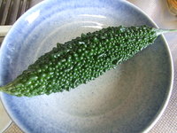 初収穫