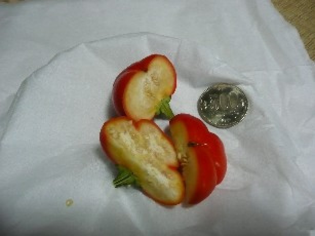 赤いなすび？を開発しました？