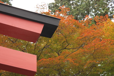 紅葉狩り①