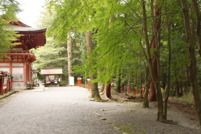 紅葉狩り①