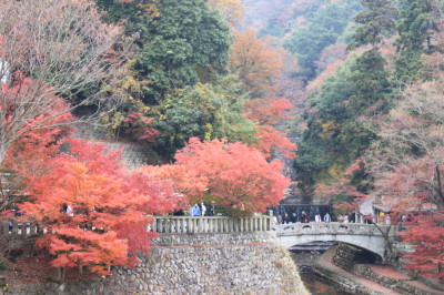 紅葉狩り②