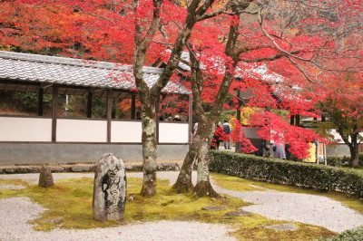 紅葉狩り②