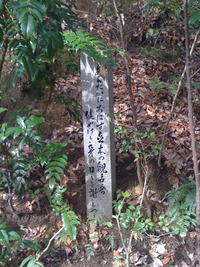 立木観音　ぽちぽち立つ　