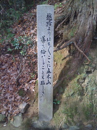 立木観音　ぽちぽち立つ　
