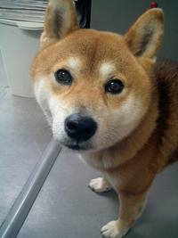 つまんないよ