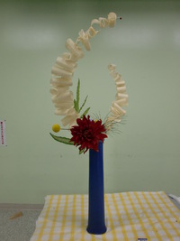 華茶の中研