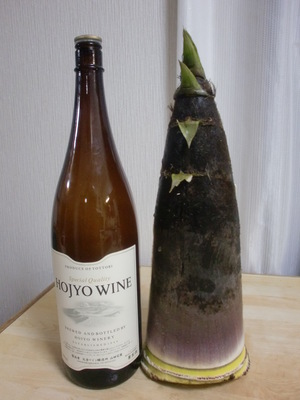 芍薬じゃあなく牡丹
