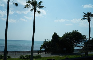 三重（英虞湾）