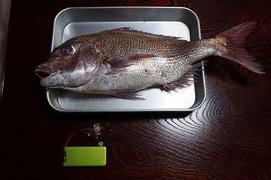 三重（英虞湾）